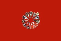 运河回收红酒